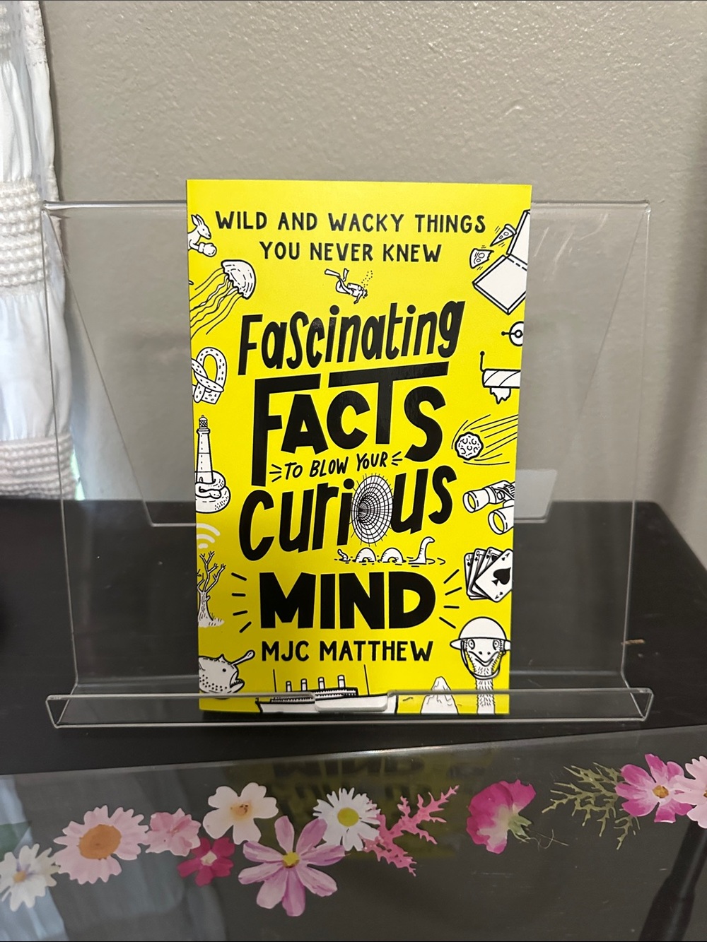 Fascinating Facts to Blow Your Curious Mind - NWT